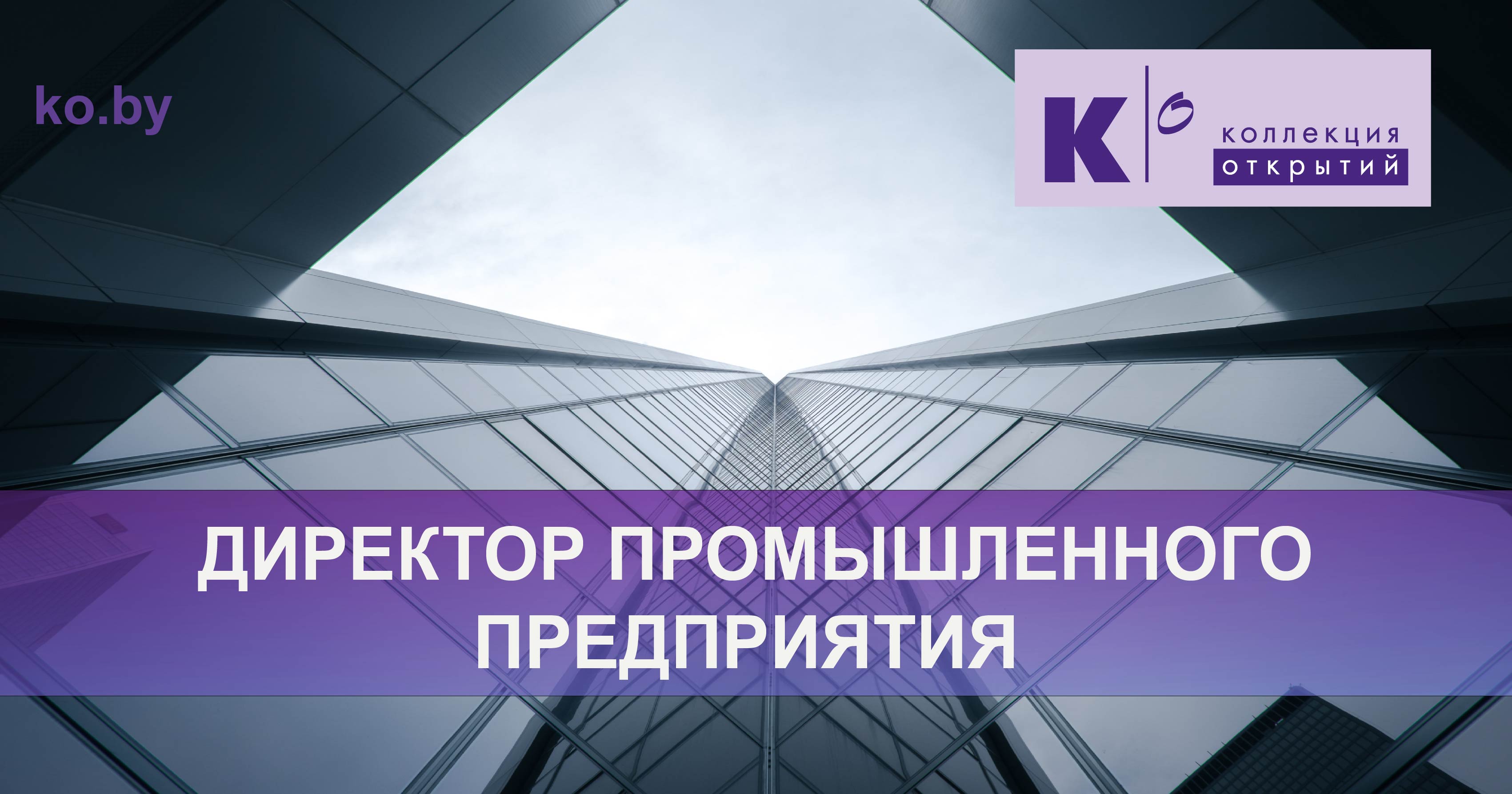 Директор промышленного предприятия