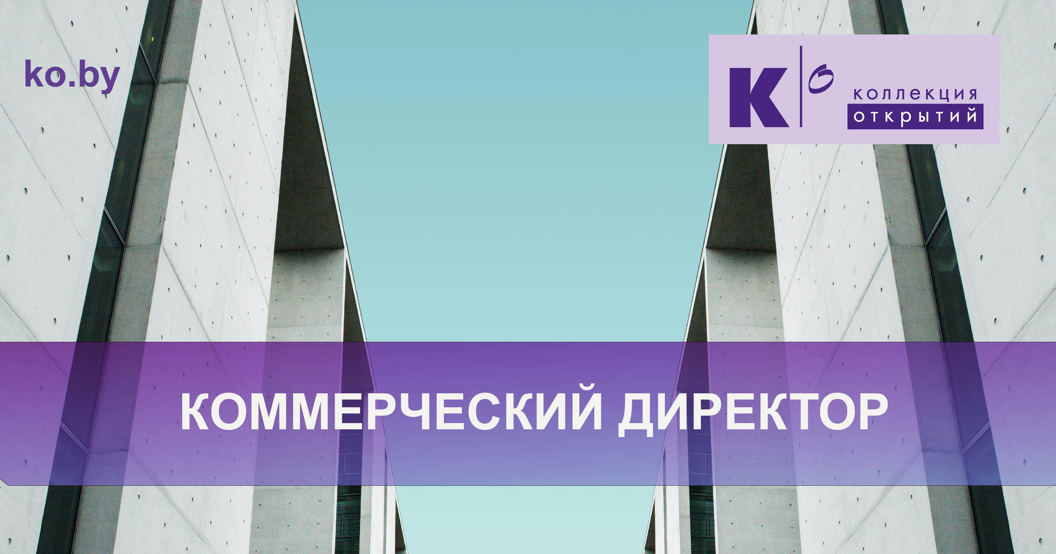 Коммерческий директор
