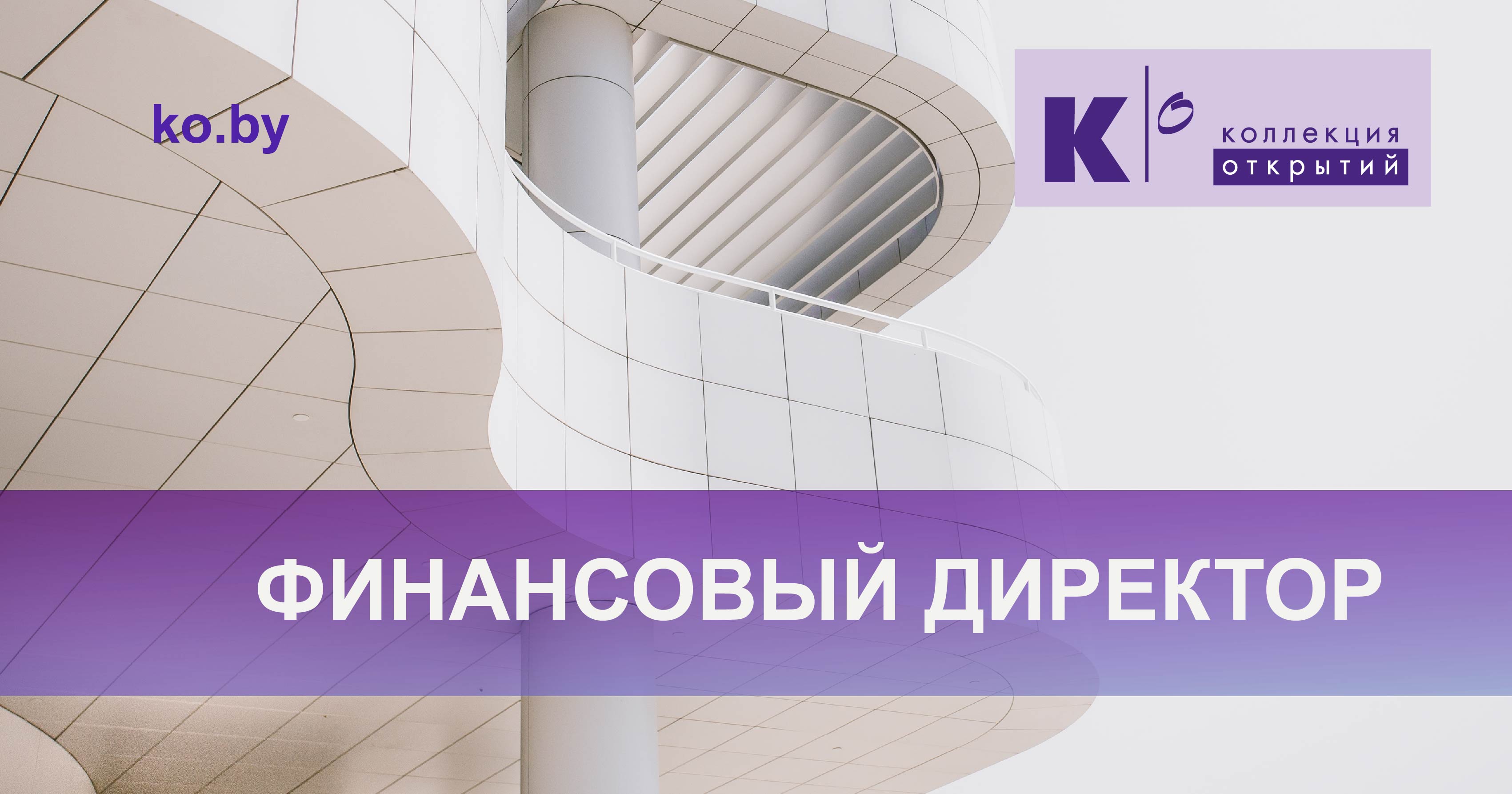 Финансовый директор